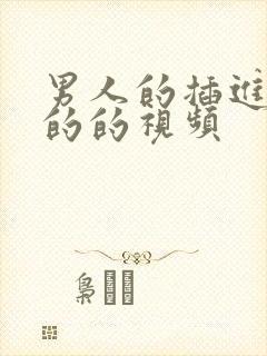 男人的插进女人的的视频