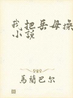 我把岳母操了的小说