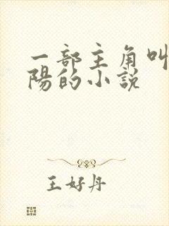 一部主角叫李正阳的小说