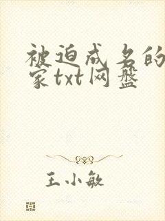 被迫成名的小说家txt网盘封面