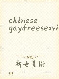 chinesegayfreesexvideo