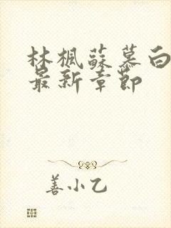 林枫苏慕白免费最新章节