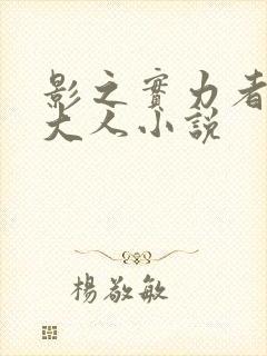 影之实力者暗影大人小说封面