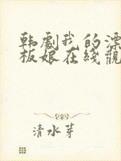 韩剧我的漂亮老板娘在线观看封面