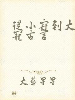 从小宠到大的甜宠古言