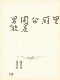 男同公厕里同性做爰