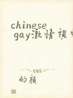 chinese gay激情视频