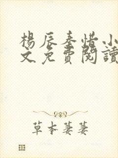 杨辰秦惜小说全文免费阅读最新章节更新