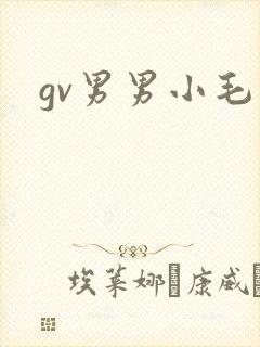 gv男男小毛片封面