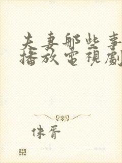 夫妻那些事免费播放电视剧全集