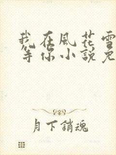 我在风花雪月里等你小说免费阅读