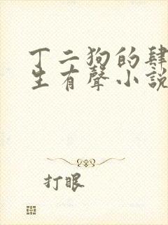 丁二狗的肆意人生有声小说免费封面