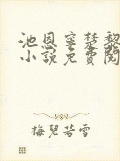 池恩宁楚黎川的小说免费阅读大结局