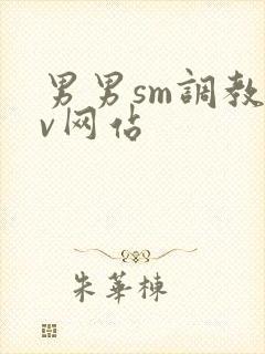 男男sm调教gv网站