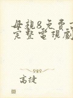 母亲8免费高清完整电视剧