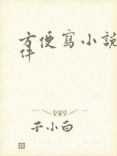 方便写小说的软件