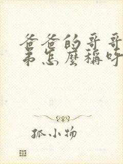 爸爸的哥哥和弟弟怎么称呼