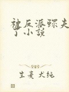 被反派鳏夫盯上了小说