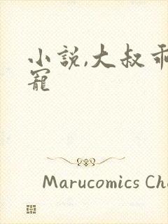 小说,大叔乖乖宠