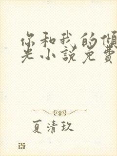 你和我的倾城时光小说免费全集封面