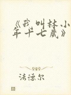 《我叫林小喜今年十七岁》