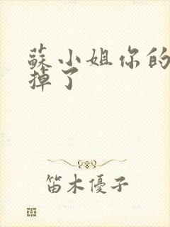 苏小姐你的老公掉了