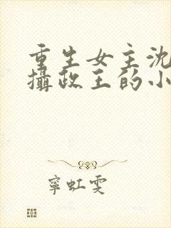 重生女主沈鸾和摄政王的小说