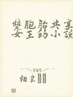 双胞胎共享一个女主的小说