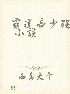 霸道帝少强宠妻 小说