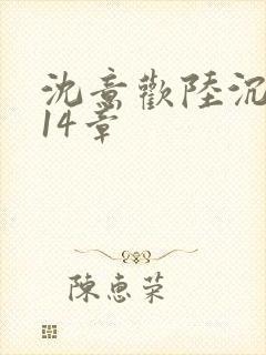 沈意欢陆沉舟第14章封面