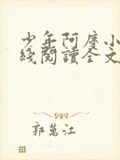 少年阿庆小说在线阅读全文封面