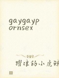 gaygaypornsex封面