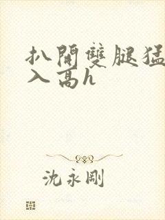 扒开双腿猛烈进入高h