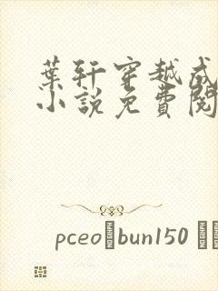 叶轩穿越成崇祯小说免费阅读封面