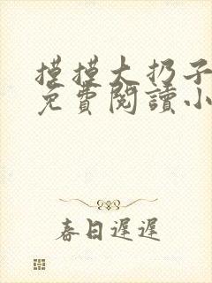 摸摸大扔子小说免费阅读小说