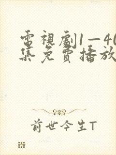 电视剧1—40集免费播放