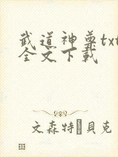 武道神尊txt全文下载
