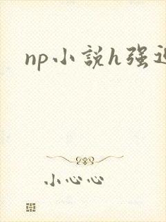 np小说h强迫封面