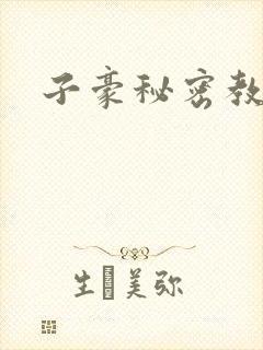子豪秘密教学封面