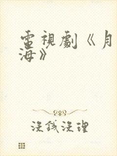 电视剧《月升沧海》封面