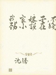 我家娘子,不对劲小说在线阅读