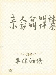 主人公叫林烨的小说叫什么名字