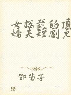 女总裁的顶流小娇夫短剧免费观看