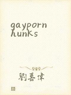 gaypornhunks