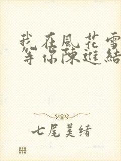 我在风花雪月里等你陈进结局封面