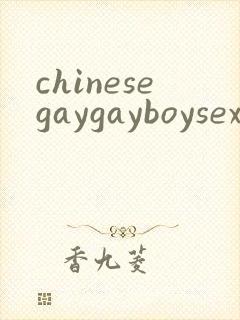 chinesegaygayboysex