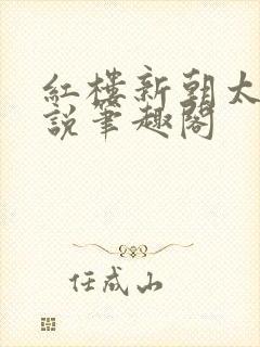 红楼新朝太子小说笔趣阁封面