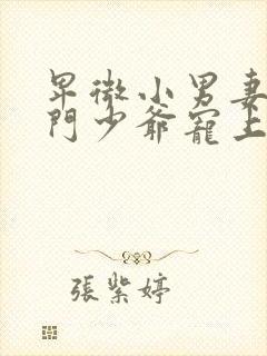 卑微小男妻被豪门少爷宠上天