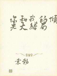 你和我的倾城时光大结局封面