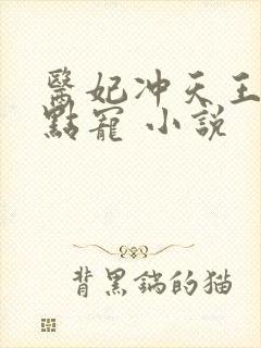 医妃冲天王爷轻点宠 小说